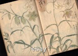 1930s Hand-Painted Sketchbook Many Colored Flower Paintings Japanese Antique