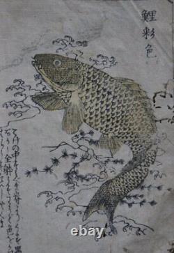 Antique Japan E-Hon Hokusai floral fish book 1800s illustrated woodblock print