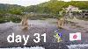 Antique Kintai Bridge Japanese Bird Fishing Vlog 41