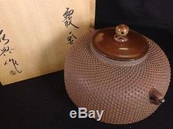 Antique Tea Ceremony CHAGAMA Japanese Iron kettle teapot VINTAGE from JAPAN a423