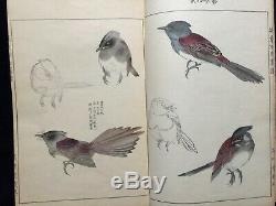 Atq SEIHO Zoological art collection of Bards Colored Woodblock print book Japan