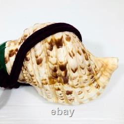 Conch Shell Yamabushi Amulet Interior Conch Shell Certificate with Case Rare