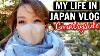 Day In My Life In Japan Vlog Shrine Tour Japanese Dollar Store And More