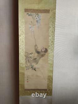 Direct from Japan KAKEJIKU Hanging Scrolls Monkey Playing With Wisteria