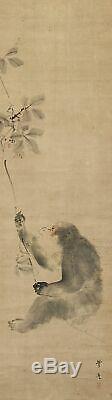 HANGING SCROLL JAPANESE PAINTING JAPAN Monkey ANTIQUE Kakejiku OLD ART d678