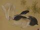 JAPANESE PAINTING HANGING SCROLL White RABBIT ART JAPAN PICTURE OLD d864