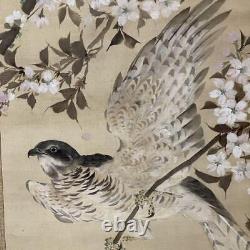 Japan VIntage Kakejiku Antiques Hanging Scroll Birds And Flowers Illustration