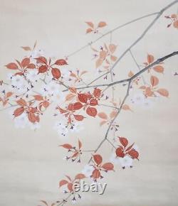Japan VIntage Kakejiku Hanging Scroll Cherry Blossom Pheasant Funian Konishi 2