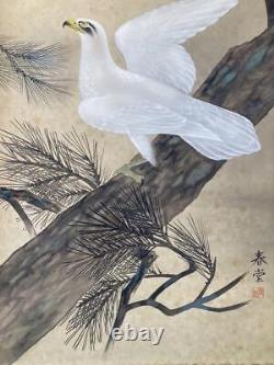 Japan VIntage Kakejiku Hanging Scroll/Shundo Loose Eagle Swan Scroll Antiques