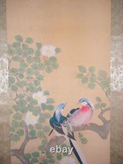 Japan Vintage Kakejiku Hanging Scroll Birds And Flowers F118