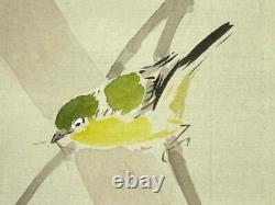 Japan Vintage Kakejiku Hanging Scroll Chiaki Persimmons For Small Birds And Fl