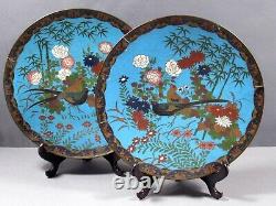 Japanese Cloisonne Chargers (2) MEIJI PERIOD