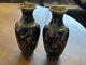 Japanese Colonise Vase Pair