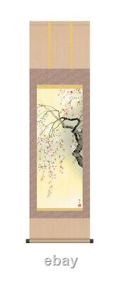 Japanese Kakejiku Hanging Scroll Full Of Cherry Blossoms Moriyama Kangetsu Nat