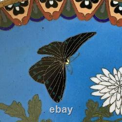 Japanese Meiji Cloisonne 12 Plate Charger w Butterfly, Flowers