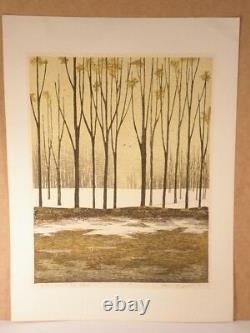 Japanese Modern Woodblock Print By Inagaki Akemi