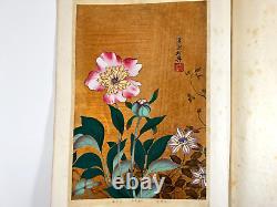 Japanese Woodblock Print Rimpa Hyakkafu vol. 6 6 Print Vintage Original 1930