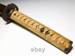 SUPERB ONI TSUBA LONG KATANA KOSHIRAE Japanese Edo Original Sword Antique