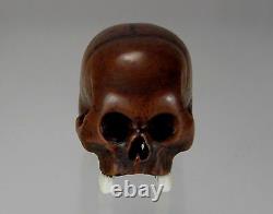 TOMOCHIKA, Edo School Boxwood Netsuke Naturalistic Human Skull