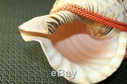 VTG Japanese Conch shell with Mouthpiece Horagai Shell trumpet Samurai Japan b646