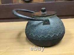 Y0481 TETSUBIN Ryumondo Cherry Blossom Japanese Iron Tea Kettle Teapot antique